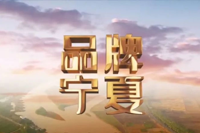 来自宁夏卫视《品牌宁夏》栏目对菠菜担保平台的报道